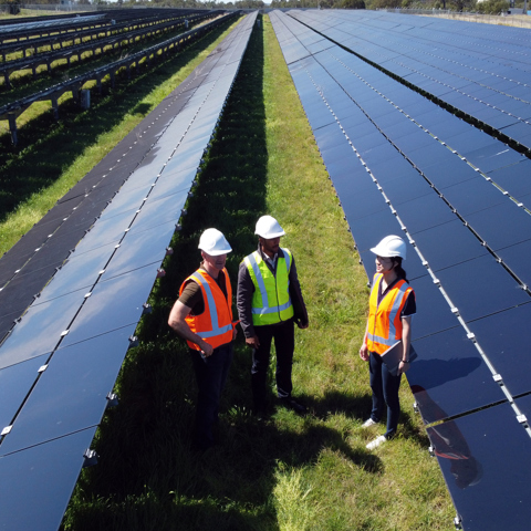 Three people standing in a solar panel farm